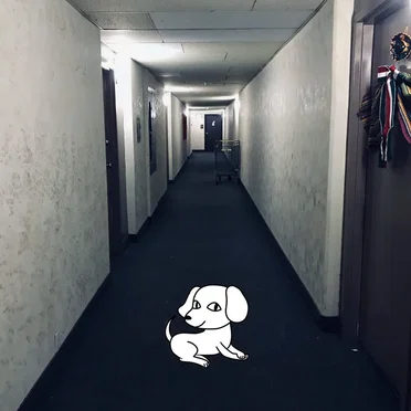 and this place by doggybleach - album cover