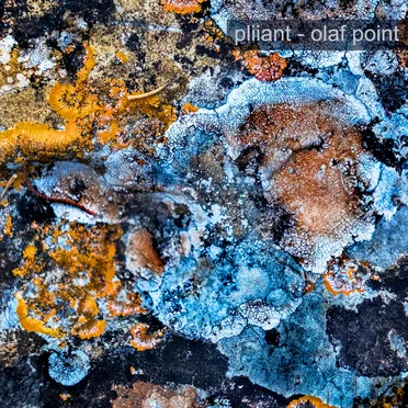 Olaf Point