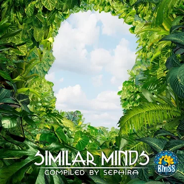Similar Minds by Various Artists - album cover