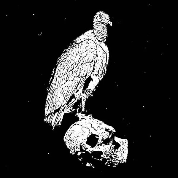 A Circle of Vultures