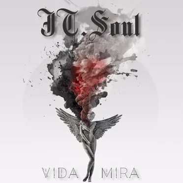 Vida Mira