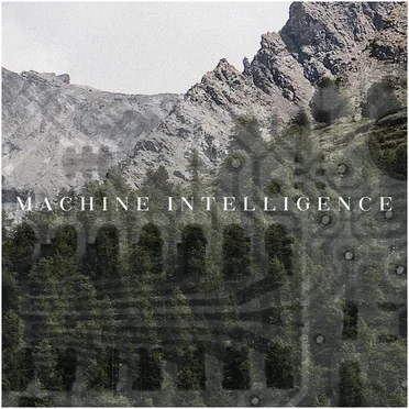 Machine Intelligence