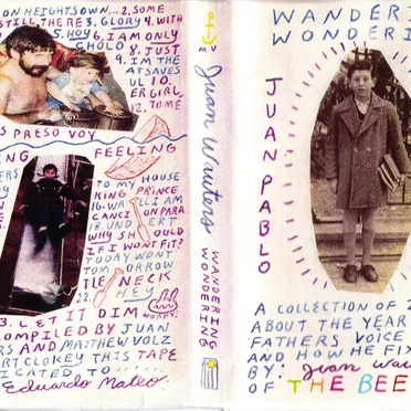 Wandering Wondering by Juan Wauters - album cover
