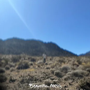Beautiful Mess (VERSIONS)