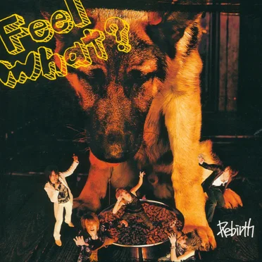 Feel what? by Rebirth - album cover
