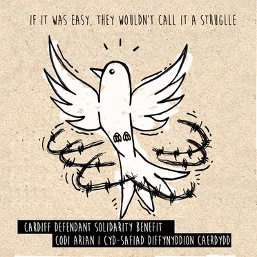 If It Was Easy, They Wouldn’t Call It a Struggle by Various Artists - album cover