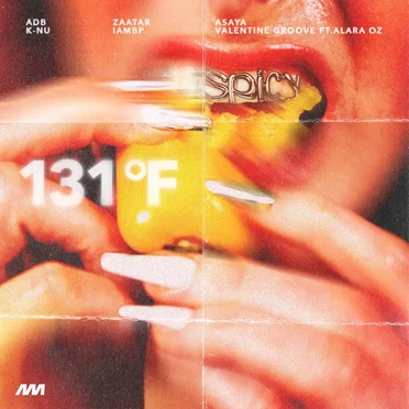 Amsem "131°F" Spicy Compilation by Various Artists - album cover