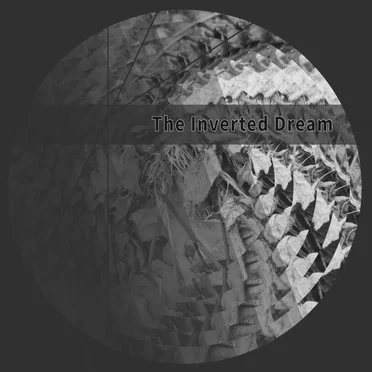 The Inverted Dream