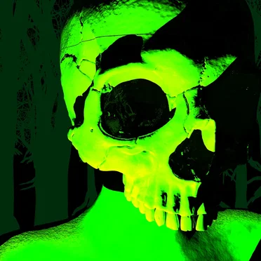 ROTTING WOODS HIDE ANCIENT EVILS, ENDURE. ENDURE! by DWELLER OF THE FORSAKEN WATCHTOWER, ABANDON YOUR POST - album cover