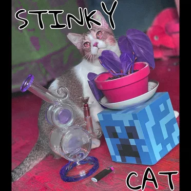 STINKY CAT by Cannabis Kiss - album cover
