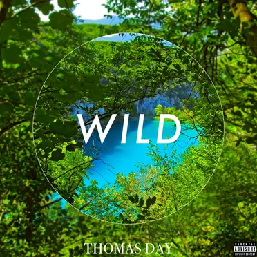 Wild by Thomas Day - album cover