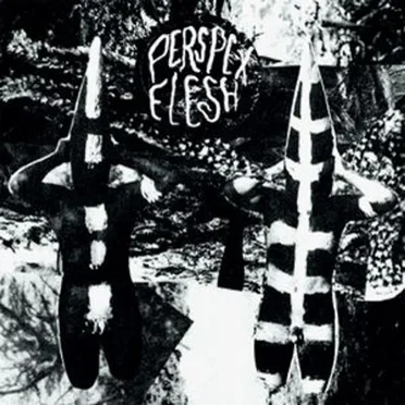 Ona by Perspex Flesh - album cover
