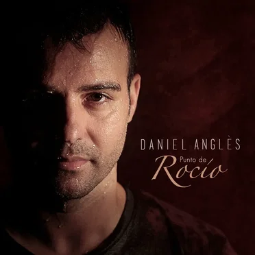 Punto de Rocío by Daniel Anglès - album cover