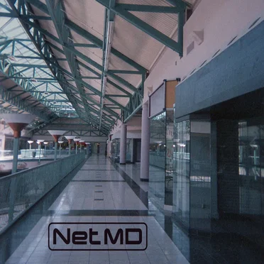 Dead Mall, 2005 by NetMD - album cover