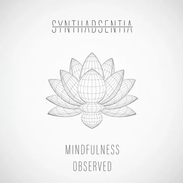 Mindfulness Observed