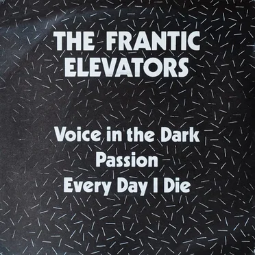 Voice in the Dark