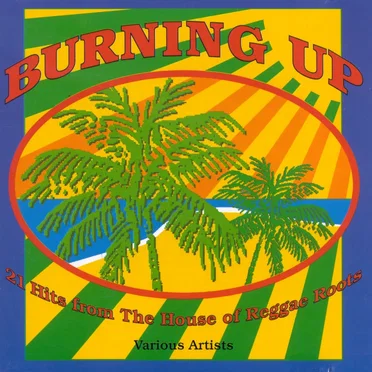 Burning Up by Various Artists - album cover