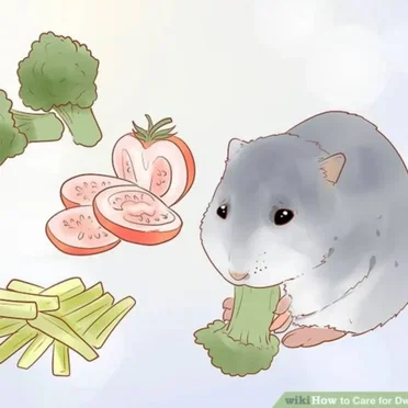 How to Fart by WikiHow - album cover