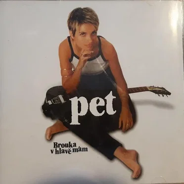 Brouka v hlavě mám by PET - album cover