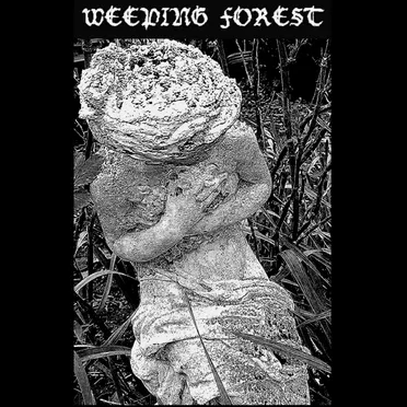 Demo II