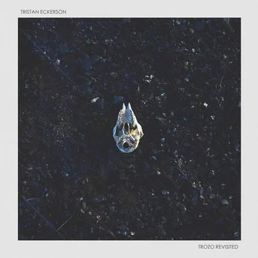 Trozo Revisited (Album) by Tristan Eckerson - album cover