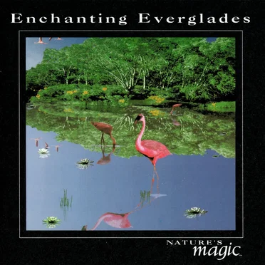 The Sounds of Nature: Enchanting Everglades by Byron M. Davis - album cover