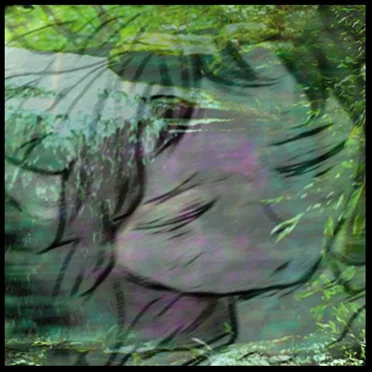 Secluded Creek