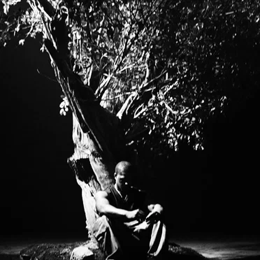 Sycamore Tree by Khamari - album cover