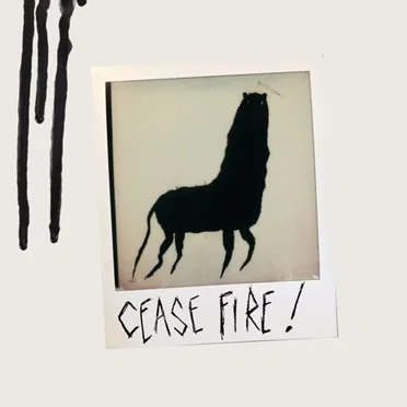 Cease Fire !