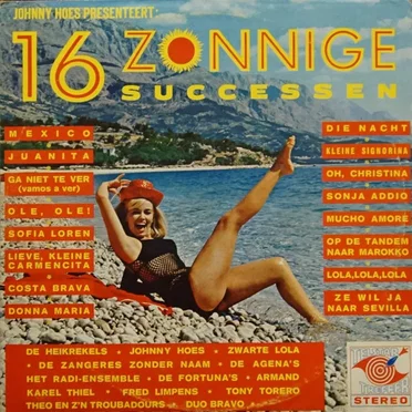 16 zonnige successen by Various Artists - album cover