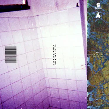 Counting Flies by Teenage Wrist - album cover
