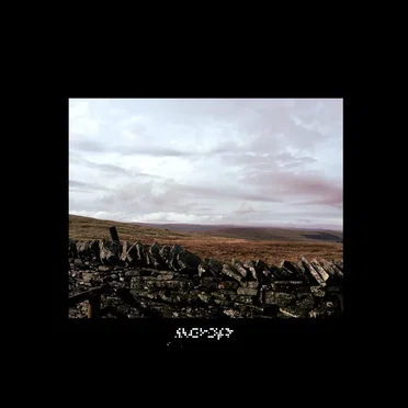 The Ercall End by Mohope - album cover