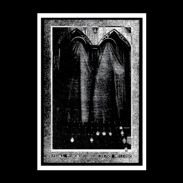 Luxury Mollusc / Feral Torch