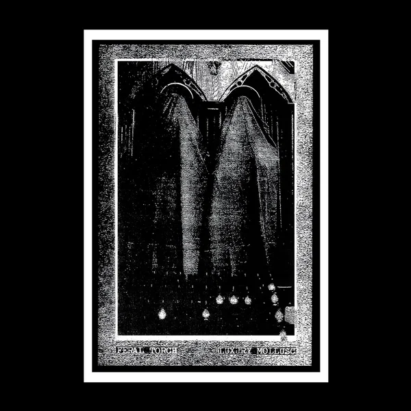 Luxury Mollusc / Feral Torch