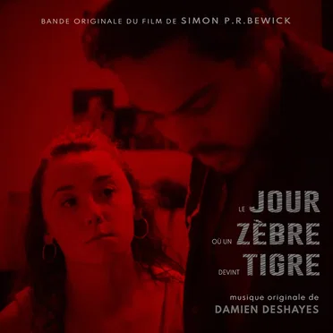 Le jour où un zèbre devint tigre