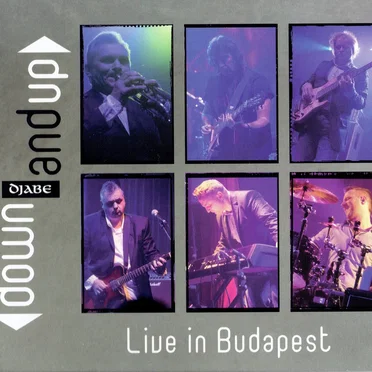 Down and Up: Live in Budapest