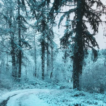 An Old Friend Resurfaces After Ten Years