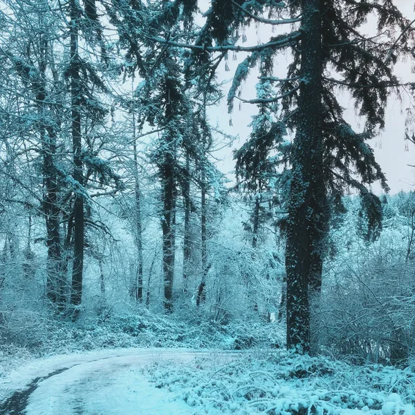 An Old Friend Resurfaces After Ten Years