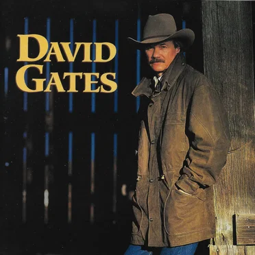 Love Is Always Seventeen