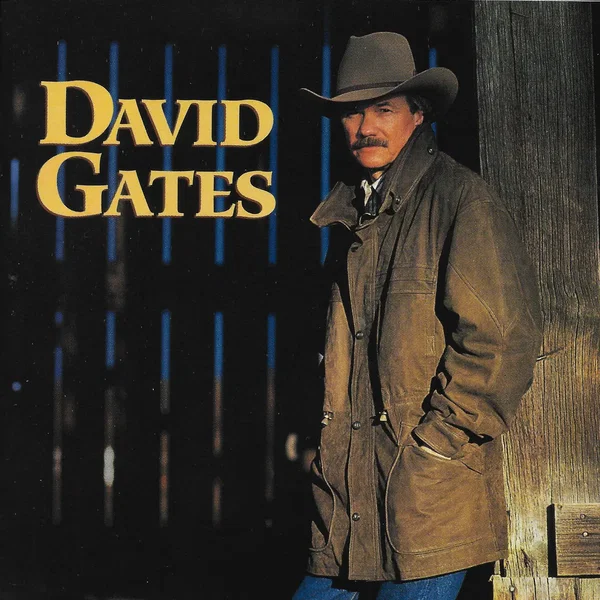 Love Is Always Seventeen