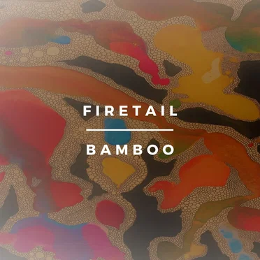 Bamboo by Firetail - album cover