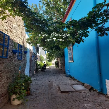Ege Günlüğü