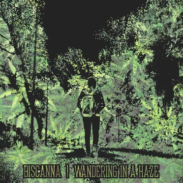 Wandering In A Haze by Biscanna - album cover