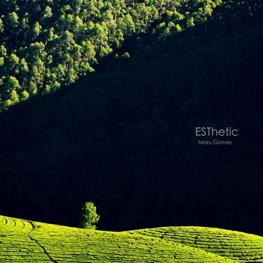 Esthetic by Maru Gomes - album cover