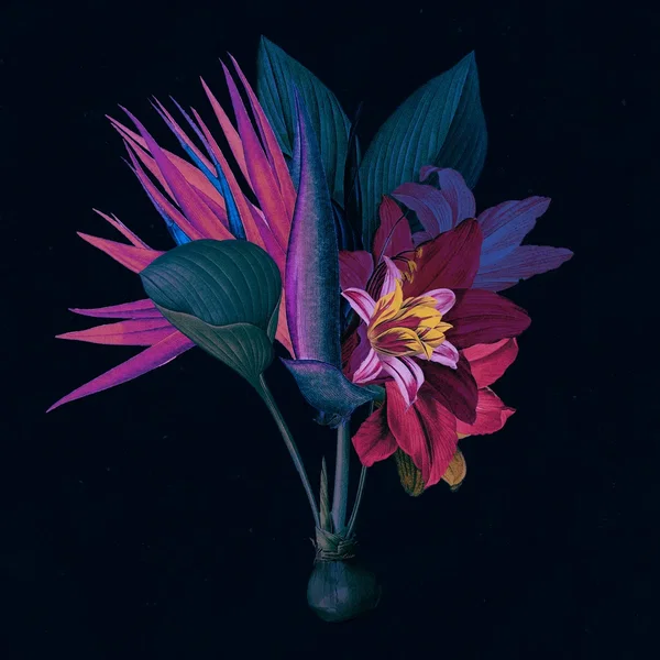Kingdom (Adesse versions remix)