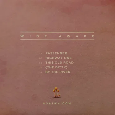 Wide Awake by Sam Green and the Midnight Heist - album cover