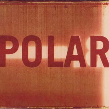 Bi-Polar by Polar - album cover