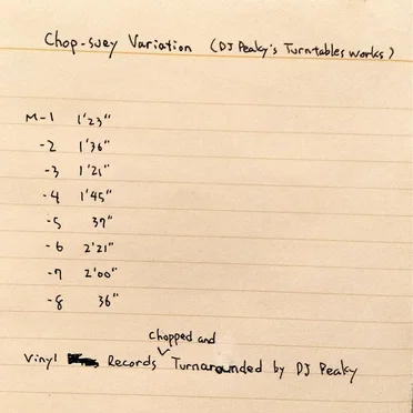 Chop-suey Variation(DJ Peaky's Turntables works)