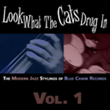 The Modern Jazz Stylings of Blue Canoe Records, Volume 1