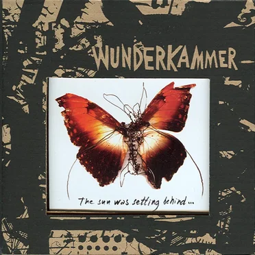 Today I Cannot Hear Music by Wunderkammer - album cover